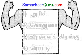 Samacheer Kalvi 3rd Science Guide Term 2 Chapter 1 உணவு 3