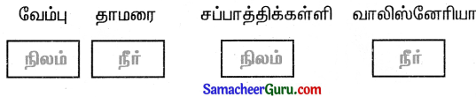 Samacheer Kalvi 3rd Science Guide Term 2 Chapter 3 தாவரங்கள் 11