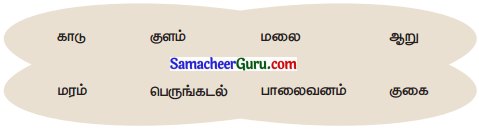 Samacheer Kalvi 3rd Science Guide Term 2 Chapter 3 தாவரங்கள் 8