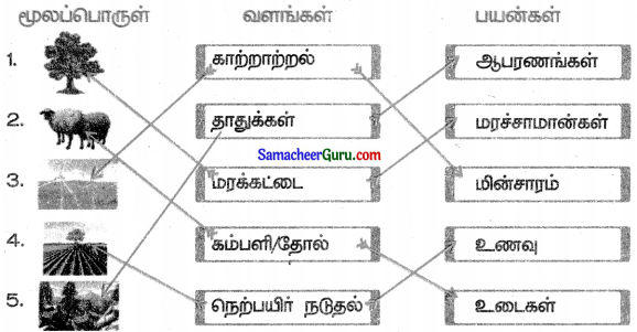 Samacheer Kalvi 3rd Science Guide Term 3 Chapter 1 நமது சுற்றுச்சூழல் 3