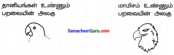 Samacheer Kalvi 3rd Science Guide Term 3 Chapter 2 விலங்குகளின் வாழ்க்கை 26