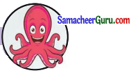 Samacheer Kalvi 3rd Science Guide Term 3 Chapter 2 விலங்குகளின் வாழ்க்கை 7