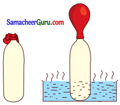 Samacheer Kalvi 3rd Science Guide Term 3 Chapter 3 காற்று 3
