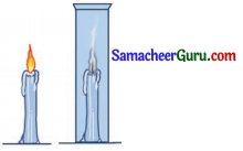 Samacheer Kalvi 3rd Science Guide Term 3 Chapter 3 காற்று 5