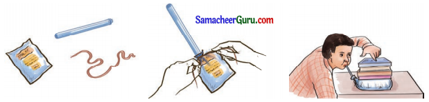 Samacheer Kalvi 3rd Science Guide Term 3 Chapter 3 காற்று 6