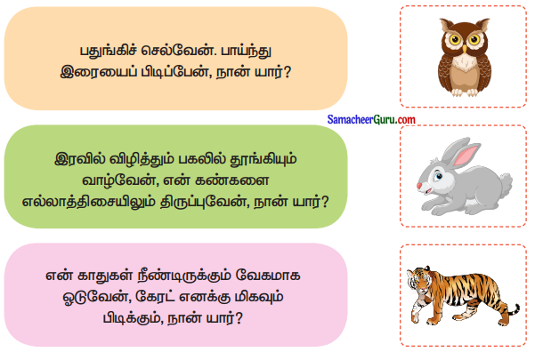 Samacheer Kalvi 3rd Tamil Guide Term 1 Chapter 3 தனித் திறமை 1