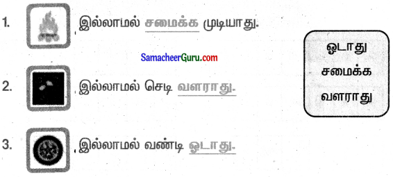 Samacheer Kalvi 3rd Tamil Guide Term 1 Chapter 8 நூலகம் 6