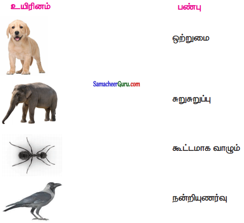 Samacheer Kalvi 3rd Tamil Guide Term 3 Chapter 5 காகமும் நாகமும் 4