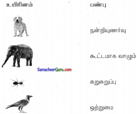 Samacheer Kalvi 3rd Tamil Guide Term 3 Chapter 5 காகமும் நாகமும் 5