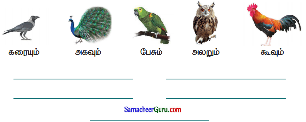 Samacheer Kalvi 3rd Tamil Guide Term 3 Chapter 8 அறிவூட்டும் தொலைக்கா செய்திகள் 3