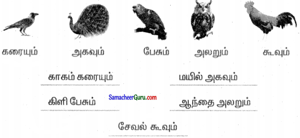 Samacheer Kalvi 3rd Tamil Guide Term 3 Chapter 8 அறிவூட்டும் தொலைக்கா செய்திகள் 4