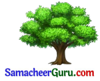 Samacheer Kalvi 3rd tamil Guide Term 2 Chapter 2 ஒன்றுபட்டால் உண்டு வாழ்வு 2