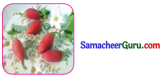 Samacheer Kalvi 3rd tamil Guide Term 2 Chapter 8 நட்பே உயர்வு 2