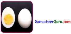 Samacheer Kalvi 3rd tamil Guide Term 2 Chapter 8 நட்பே உயர்வு 5