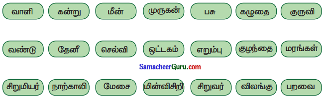 Samacheer Kalvi 3rd tamil Guide Term 3 Chapter 3 வீம்பால் வந்த விளைவு 12