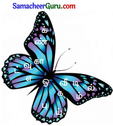 Samacheer Kalvi 3rd tamil Guide Term 3 Chapter 3 வீம்பால் வந்த விளைவு 15